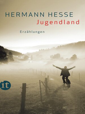 cover image of Jugendland